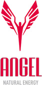 Logo_ANGEL